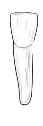 Dente 71