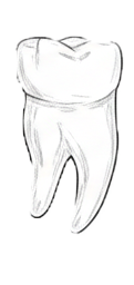 Dente 46